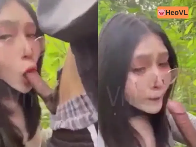 đi dã ngoại tiện trả bài gấu ở trong rừng